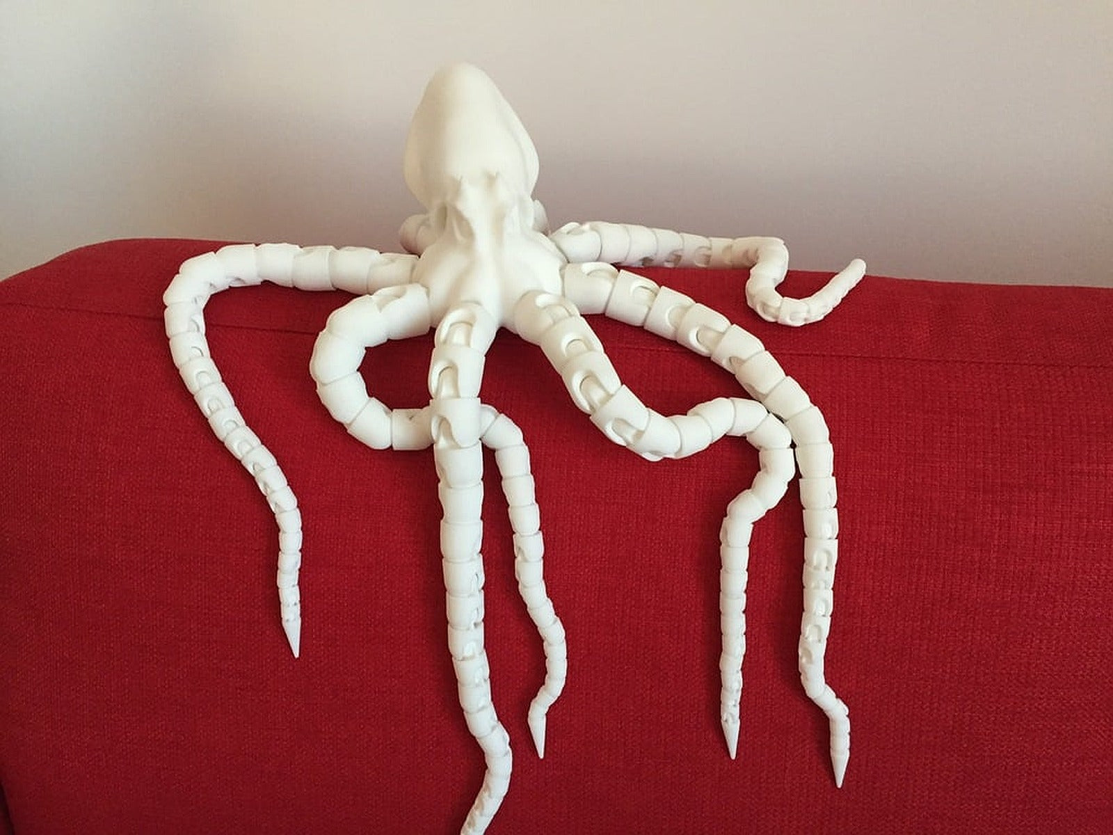 Realistic Octopus rounded and kutu/düzenleyicied – 3D Baskı Modeli