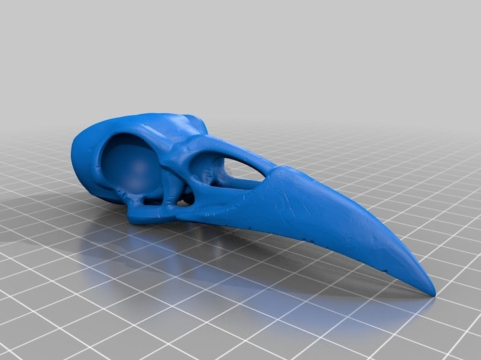 Raven Skull – 3D Baskı Modeli