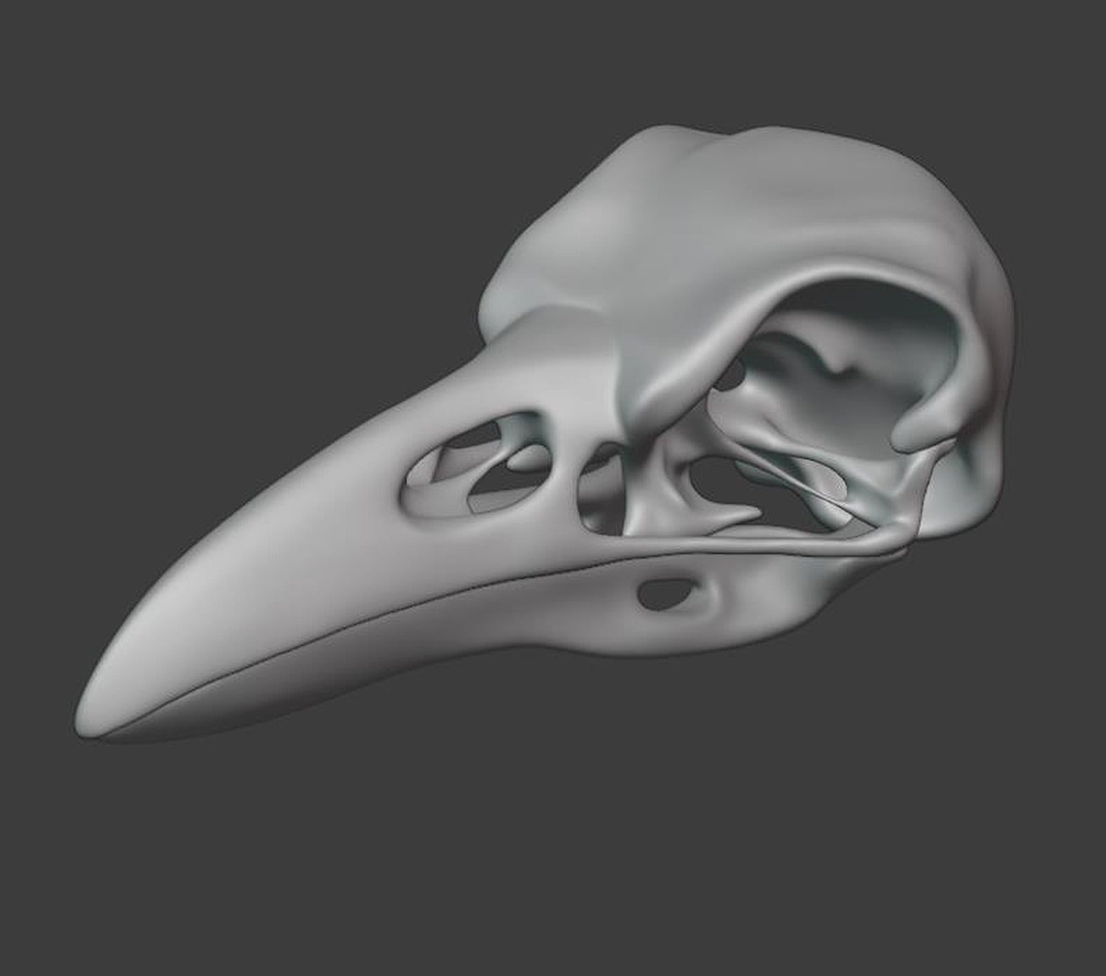 Raven Skull – 3D Baskı Modeli