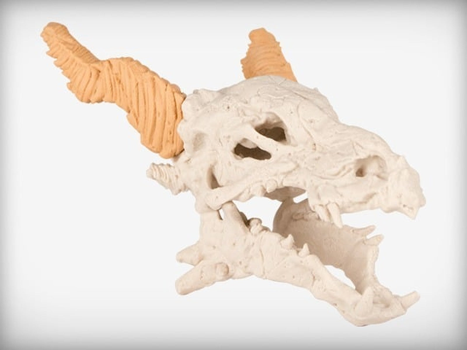 Dragon Skull – 3D Baskı Modeli