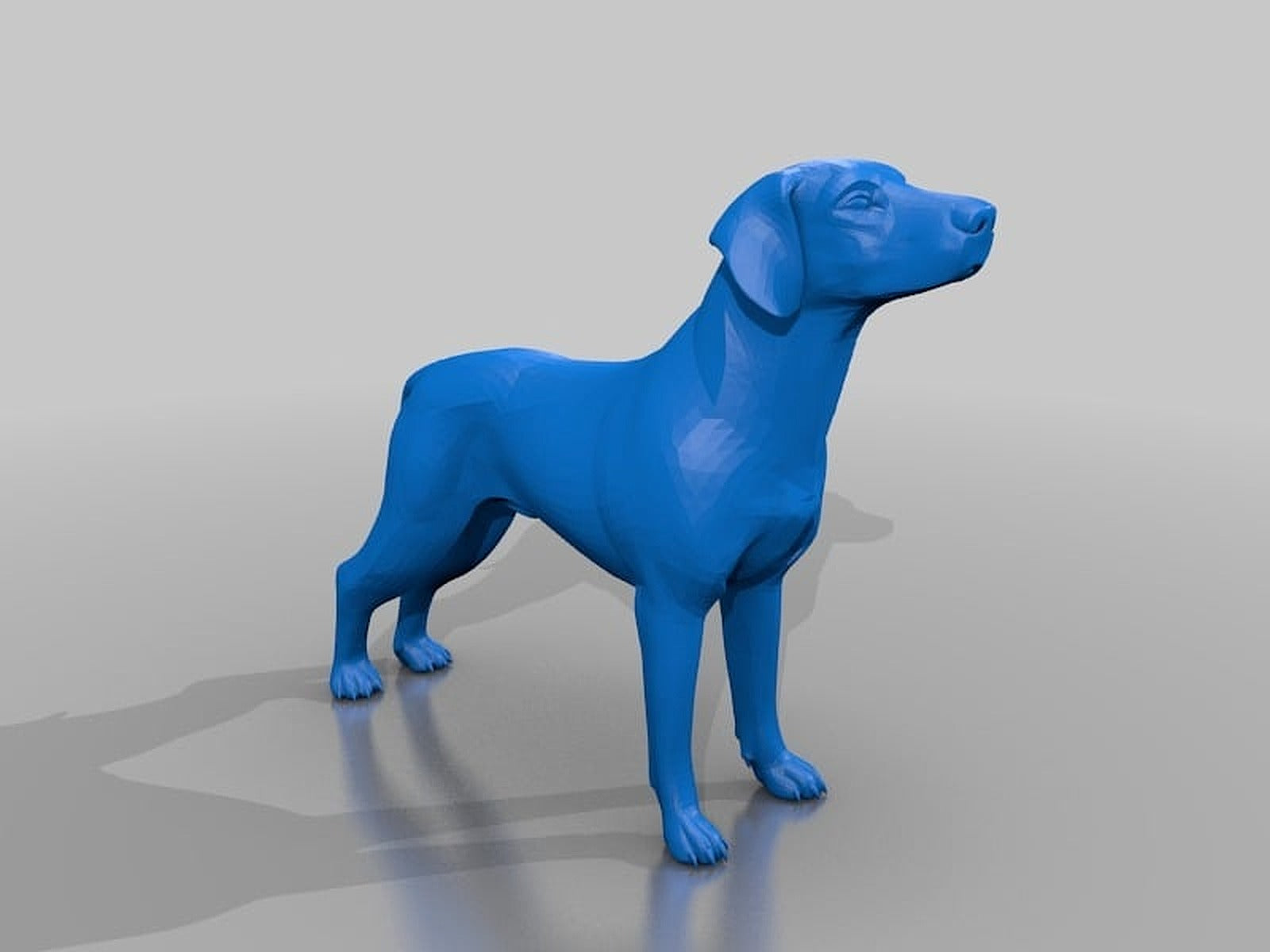Dog – 3D Baskı Modeli