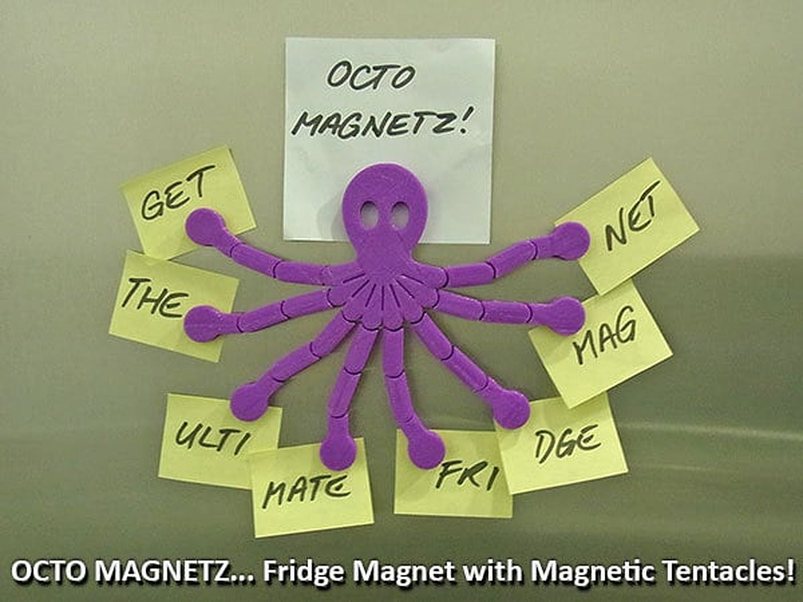 Octo Magnetz... the Ultimate Fridge Magnet! – 3D Baskı Modeli