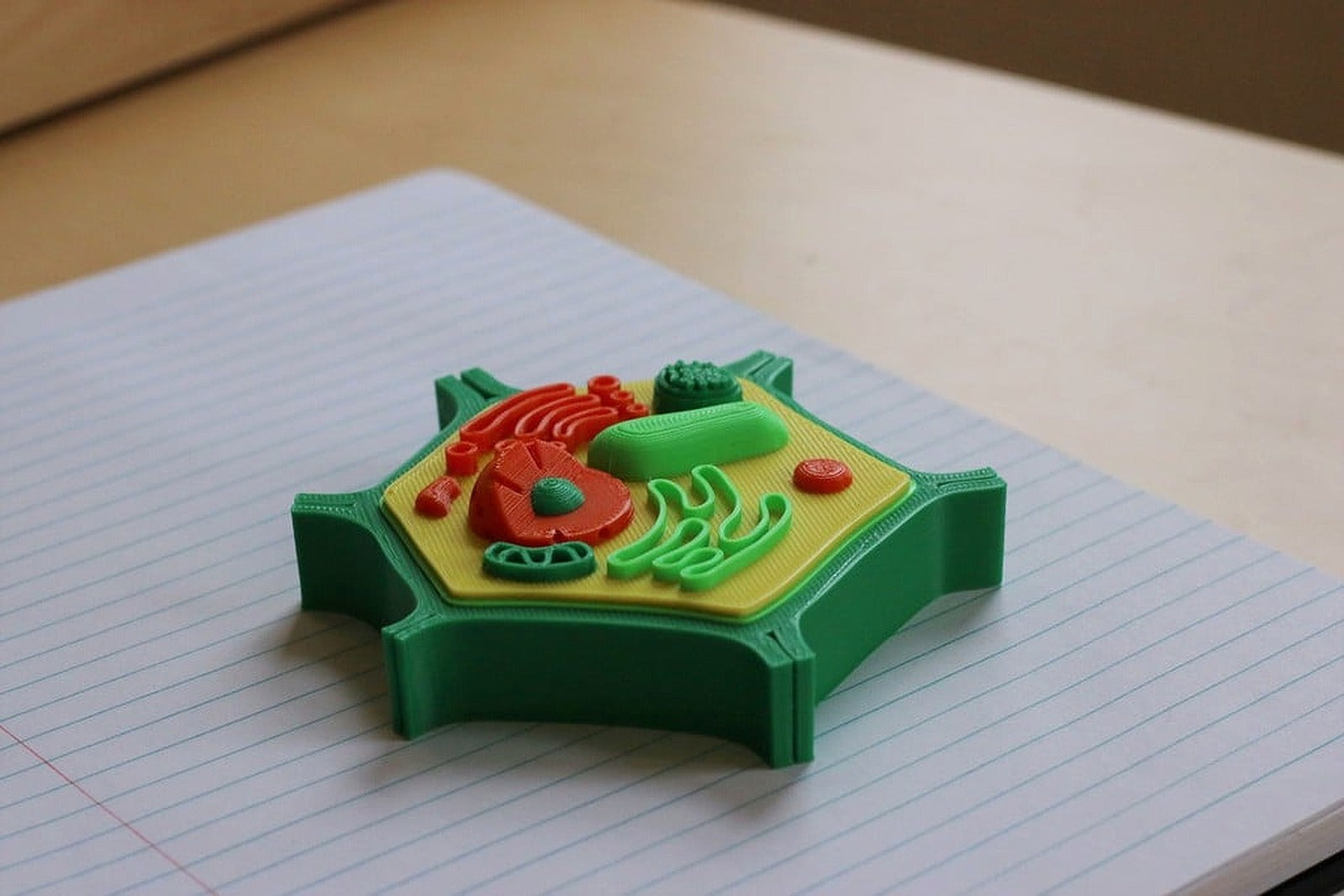 Multi-Color Mini Plant Cell – 3D Baskı Modeli