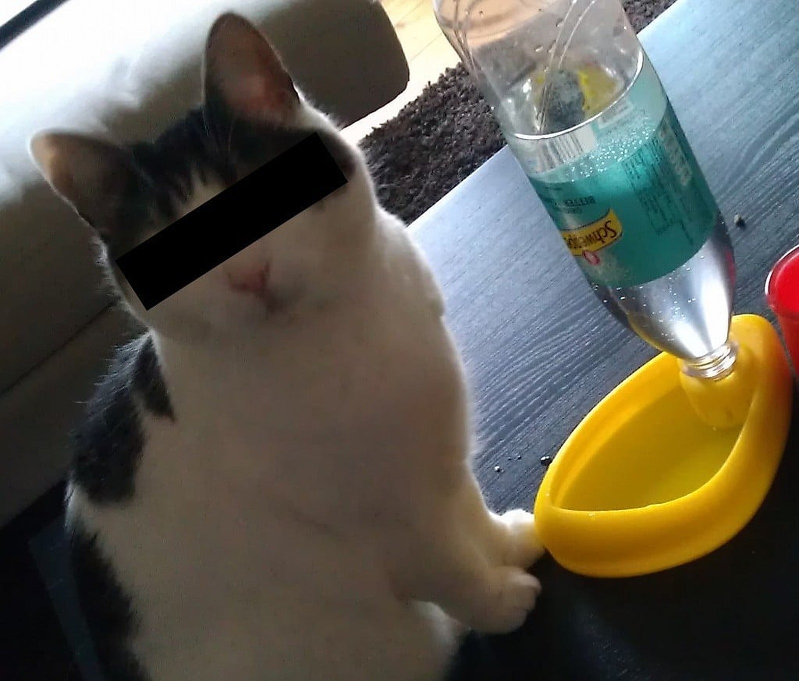 Cat drinking pond – 3D Baskı Modeli