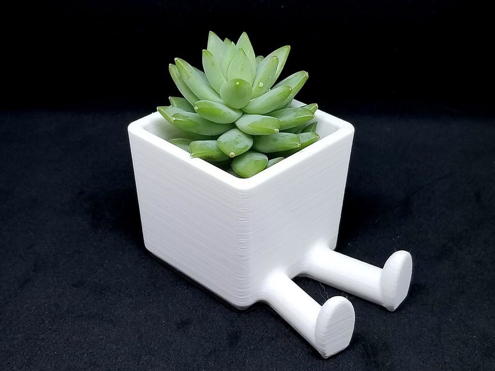 Succulent saksı / 3D printed saksı / Legged saksı – 3D Baskı Modeli