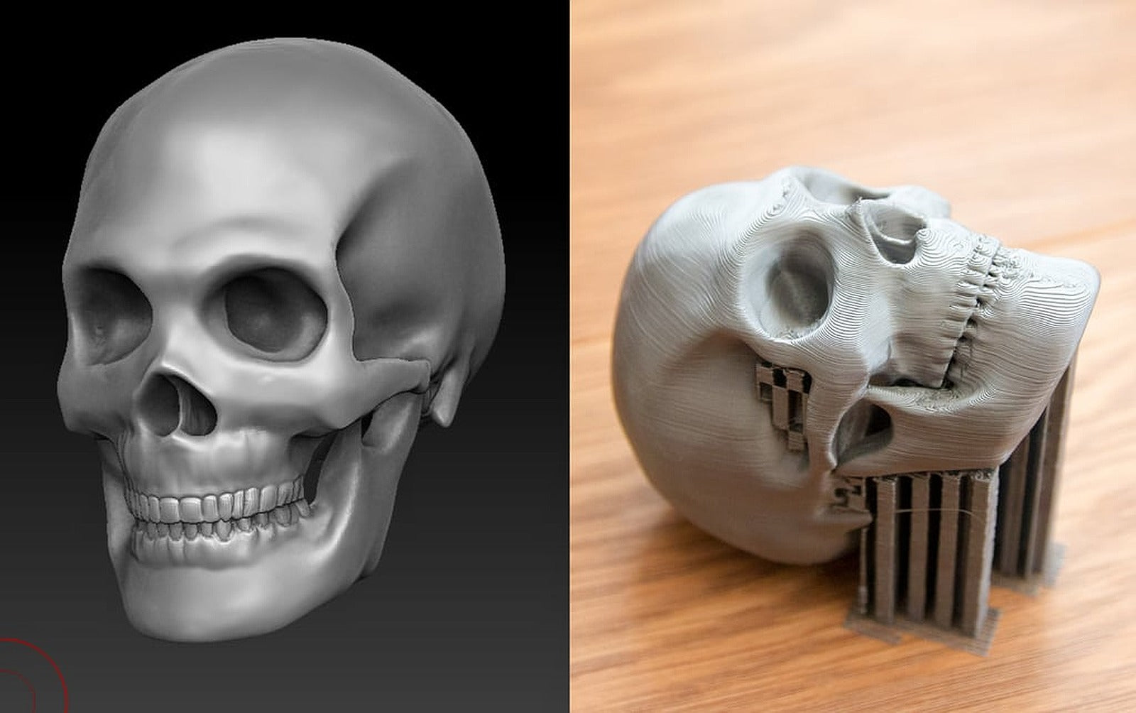 Skull – 3D Baskı Modeli