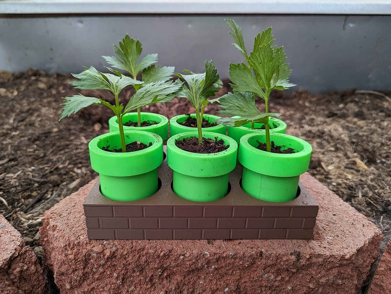 Mario Seed Starter Tray - Self Watering – 3D Baskı Modeli