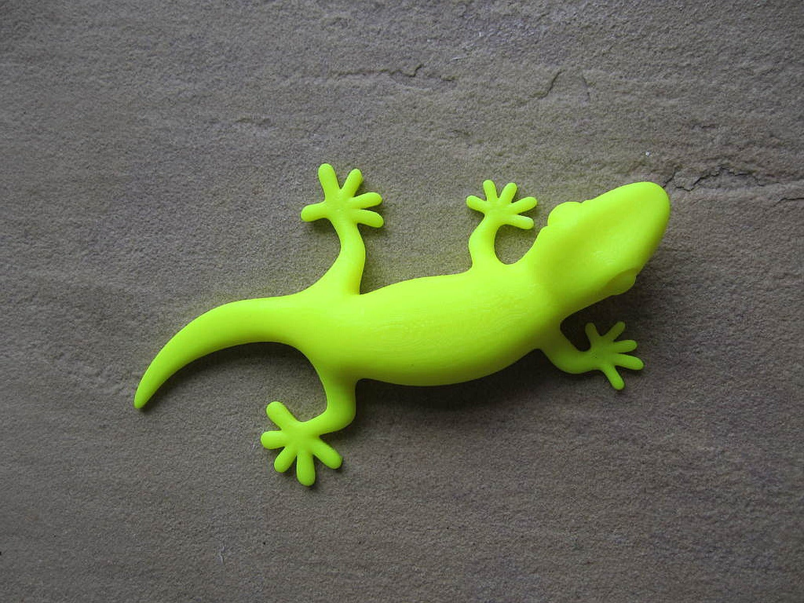 Gecko – 3D Baskı Modeli