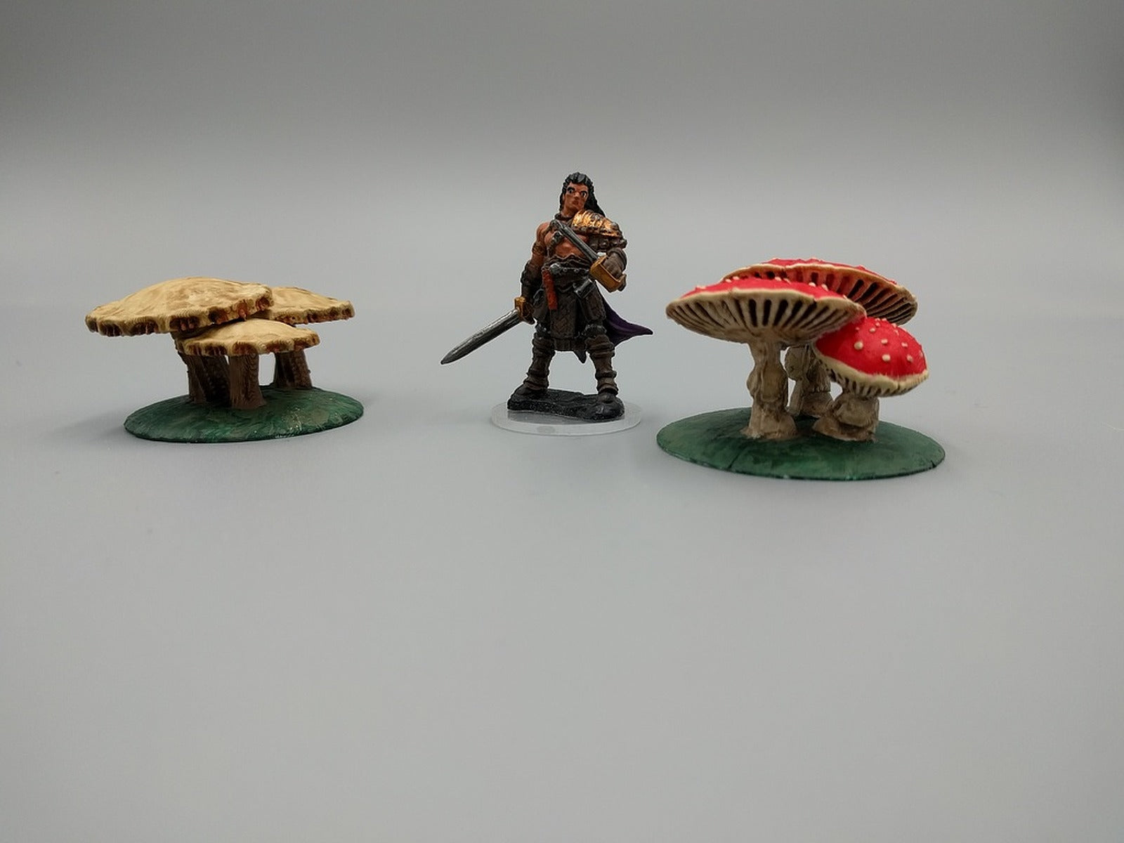 Oakenspire - Forest Mushrooms - 28mm – 3D Baskı Modeli