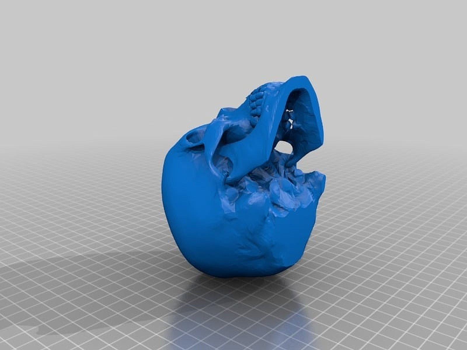 Re-oriented Skull for supportless printing – 3D Baskı Modeli
