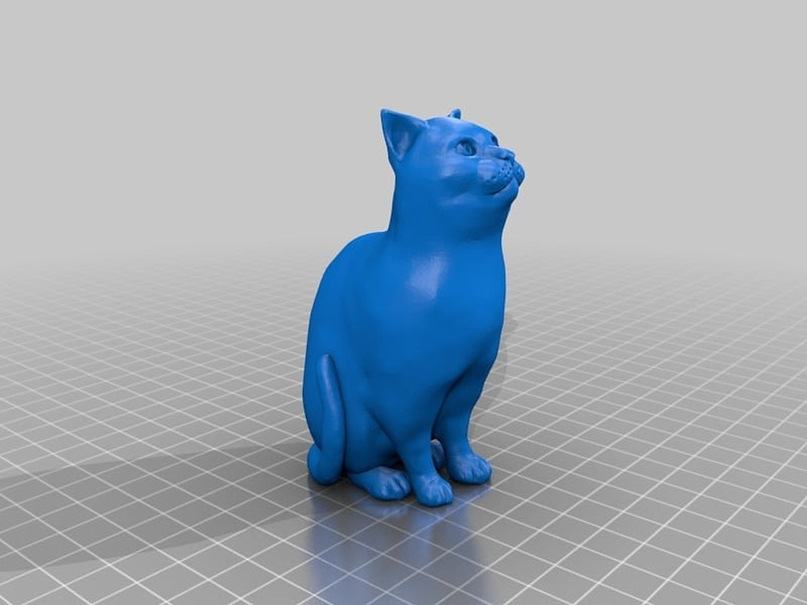 Schrodinky: British Shorthair Cat Sitting In A kutu/düzenleyici(single extrusion version) – 3D Baskı Modeli