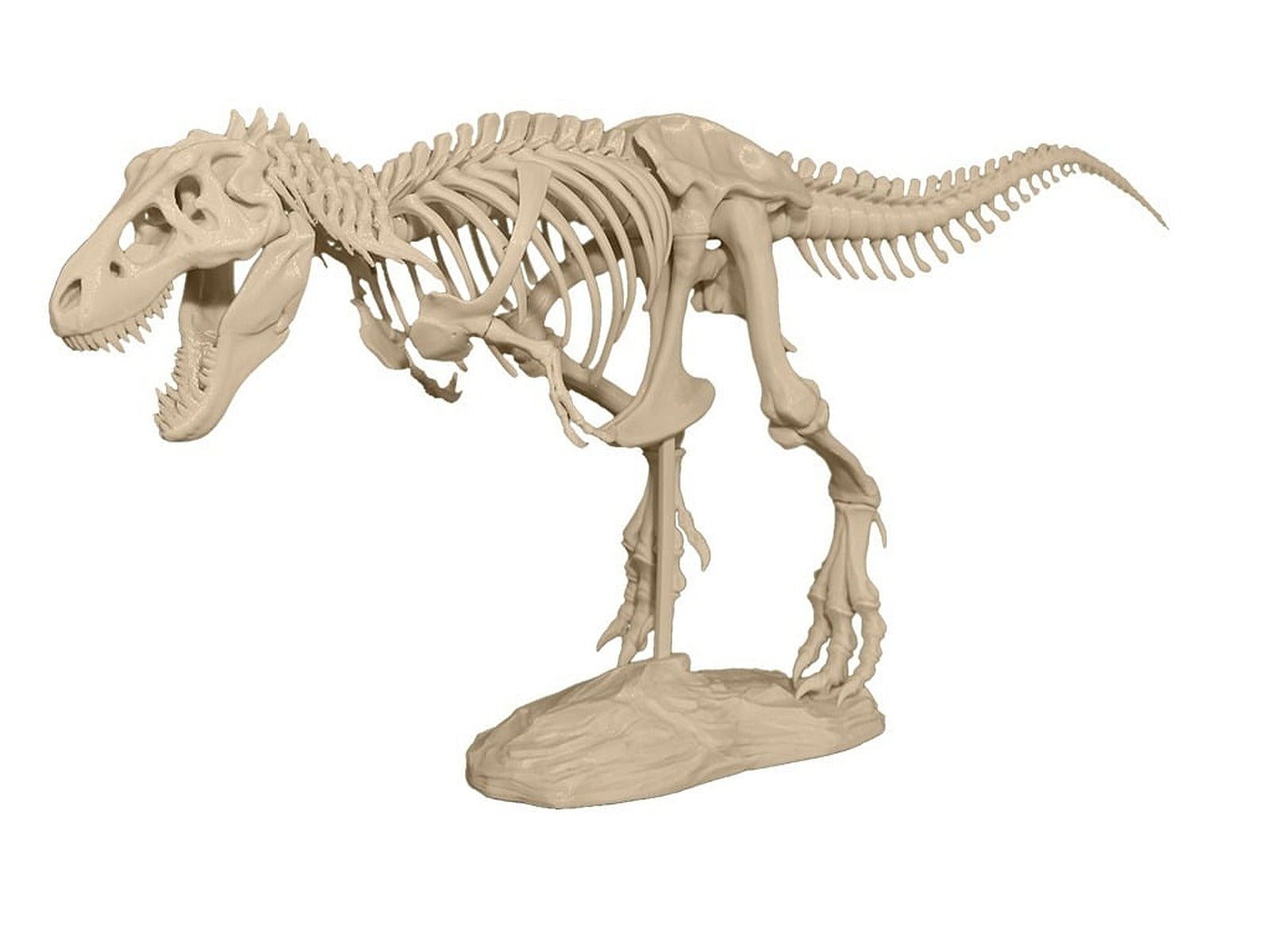 T-Rex Skeleton – 3D Baskı Modeli