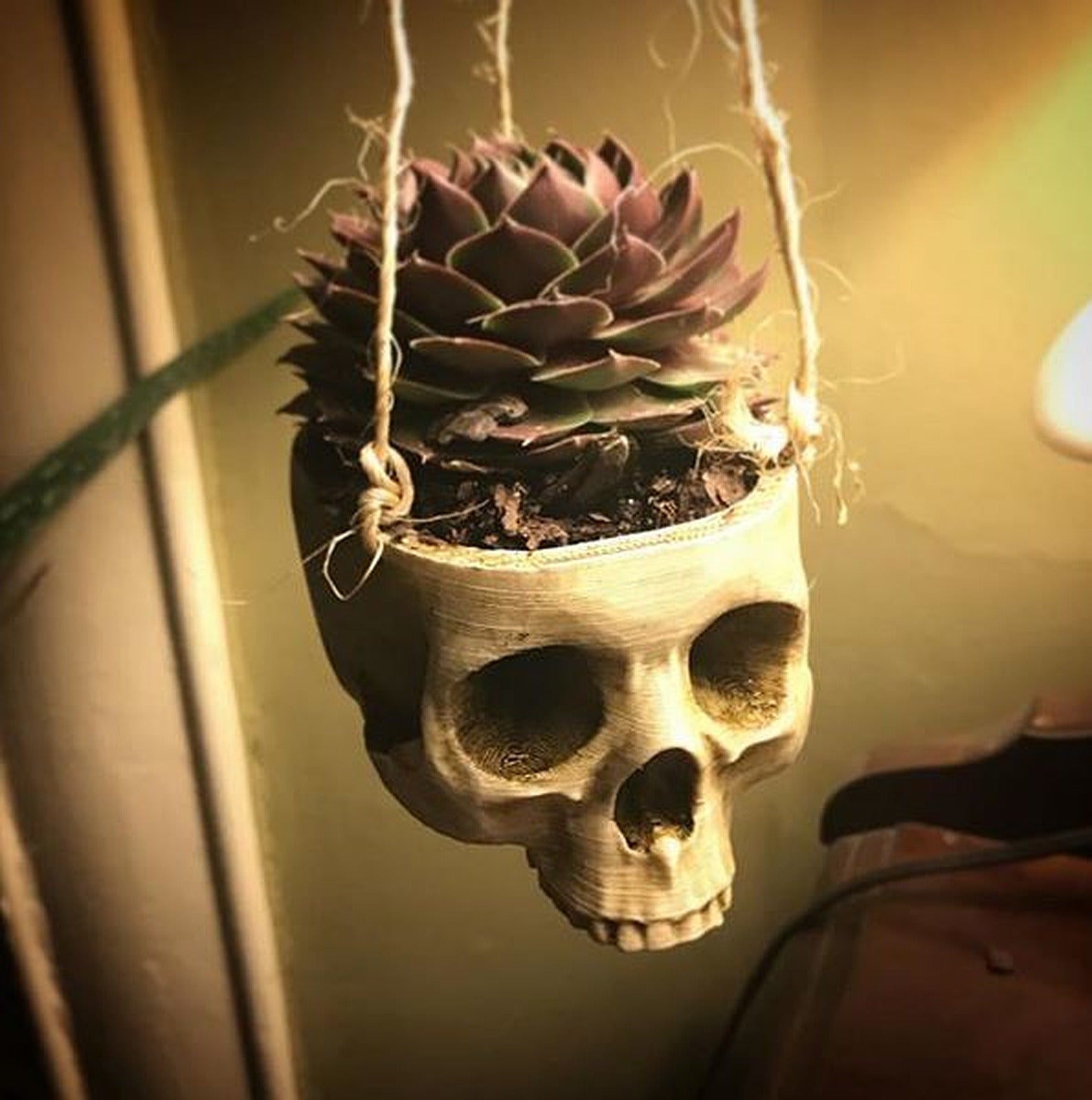 Skull Plant Hanger – 3D Baskı Modeli