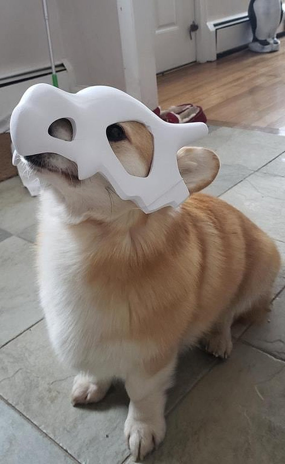 Cubone Dog Mask – 3D Baskı Modeli