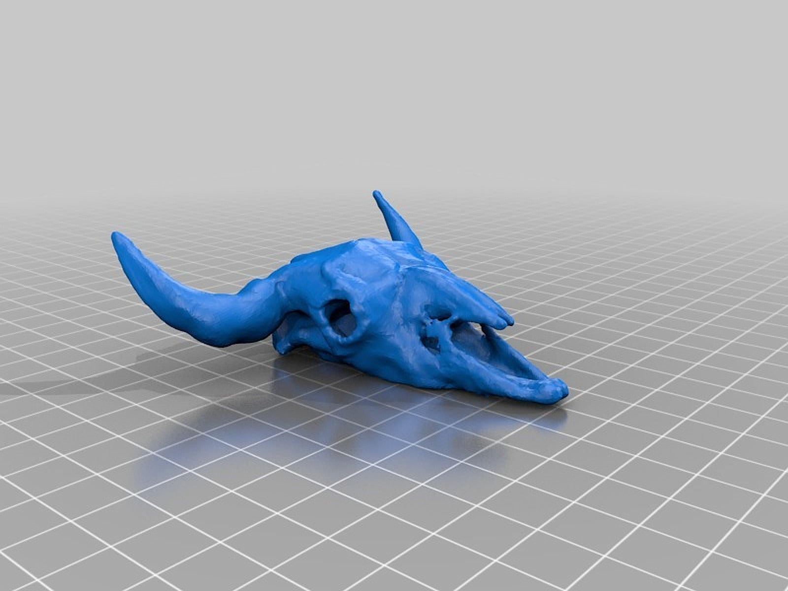 Buffalo skull (American Bison) – 3D Baskı Modeli