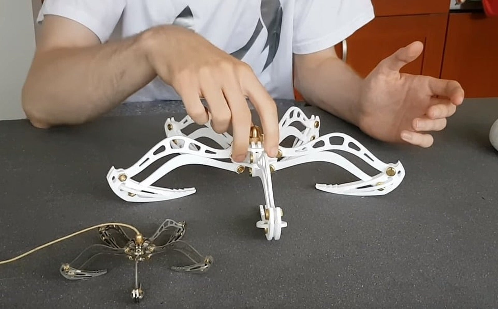 Mantis Claw – 3D Baskı Modeli