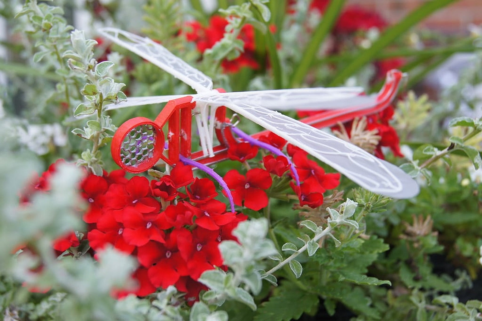 Dragonfly Science – 3D Baskı Modeli