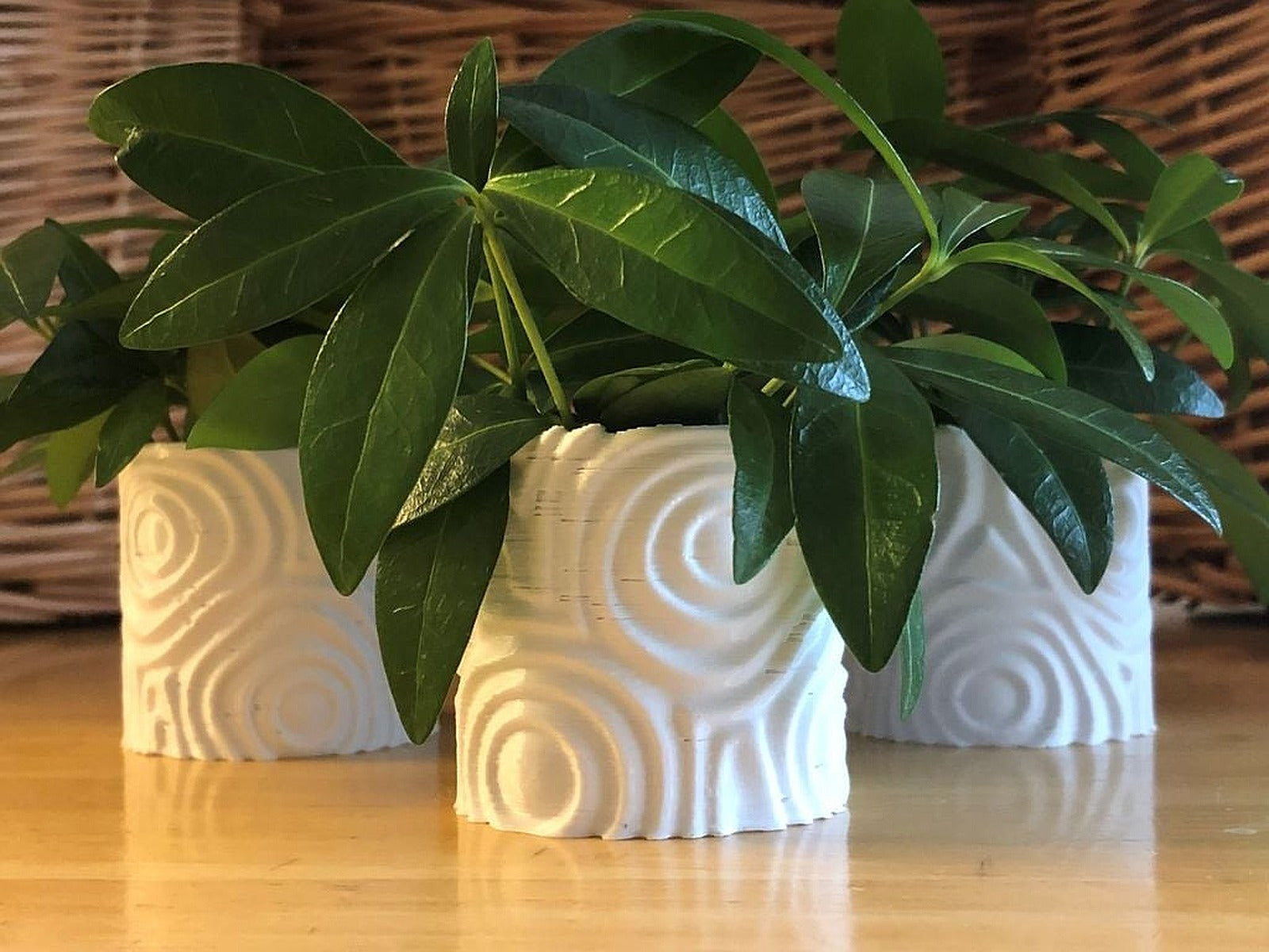 Ripple vazo (Round) – 3D Baskı Modeli