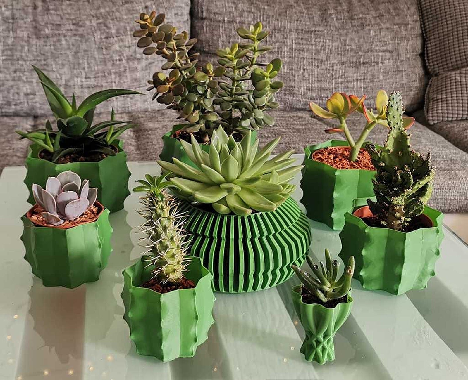 cactus vazo - vasemode – 3D Baskı Modeli