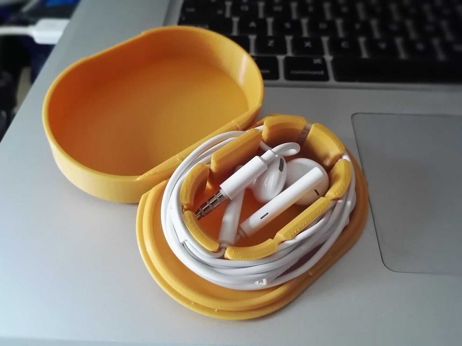 Hinged kılıf for Earphones (separate parts remix) – 3D Baskı Modeli