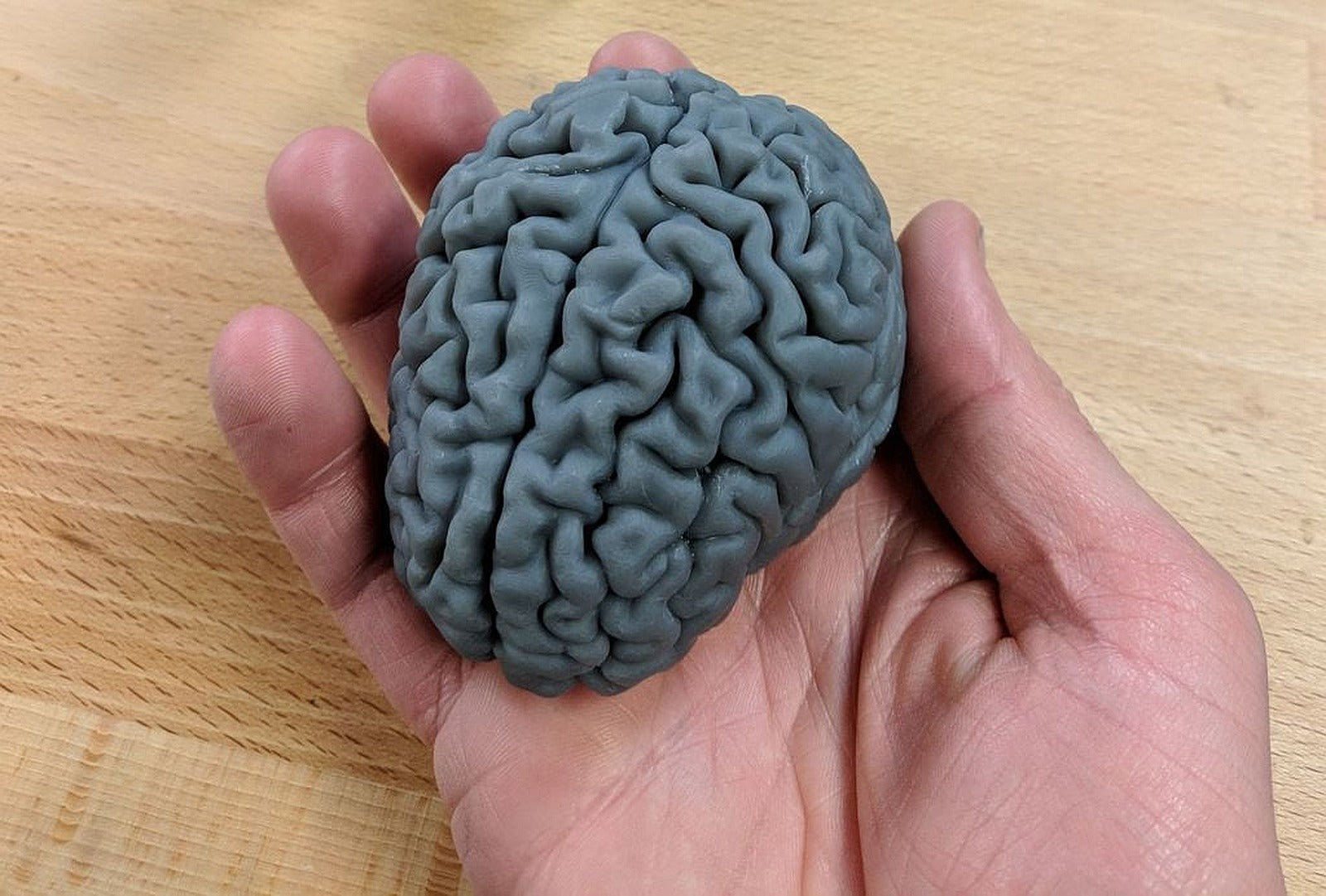 Human brain – 3D Baskı Modeli