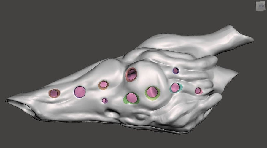 Velociraptor Resonating Chamber Ocarina – 3D Baskı Modeli