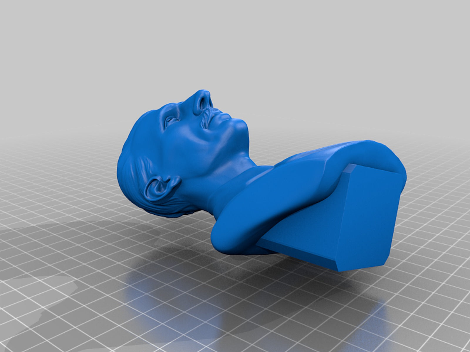 Bust of Nikola Tesla – 3D Baskı Modeli