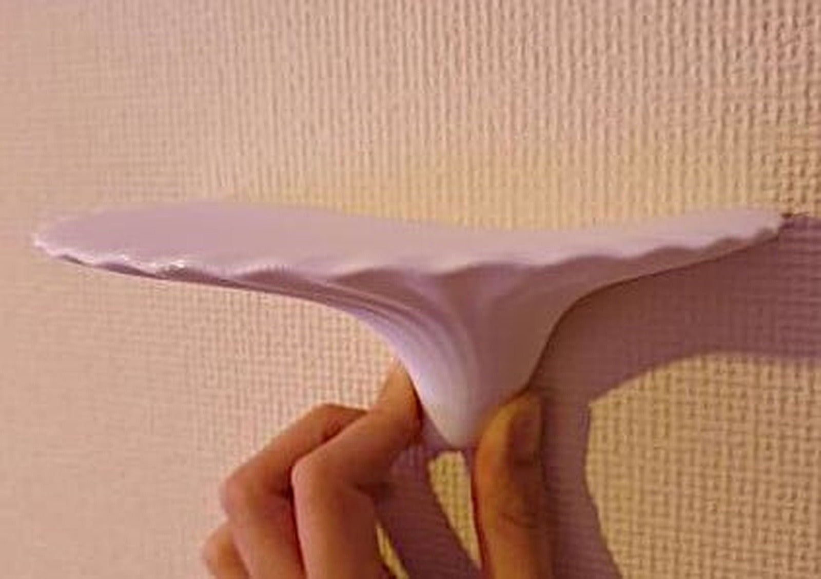 Shelf mushroom (polypore) with a wall mount – 3D Baskı Modeli