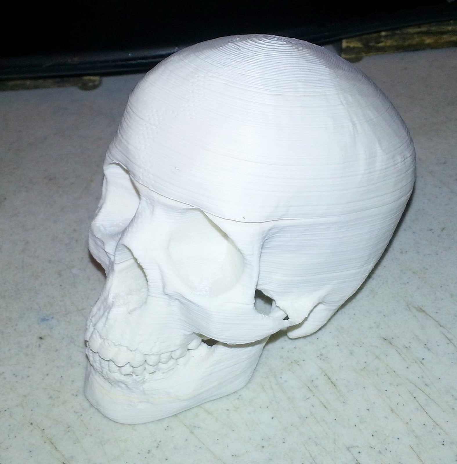 Sliced Human Skull with Mandible and Teeth – 3D Baskı Modeli