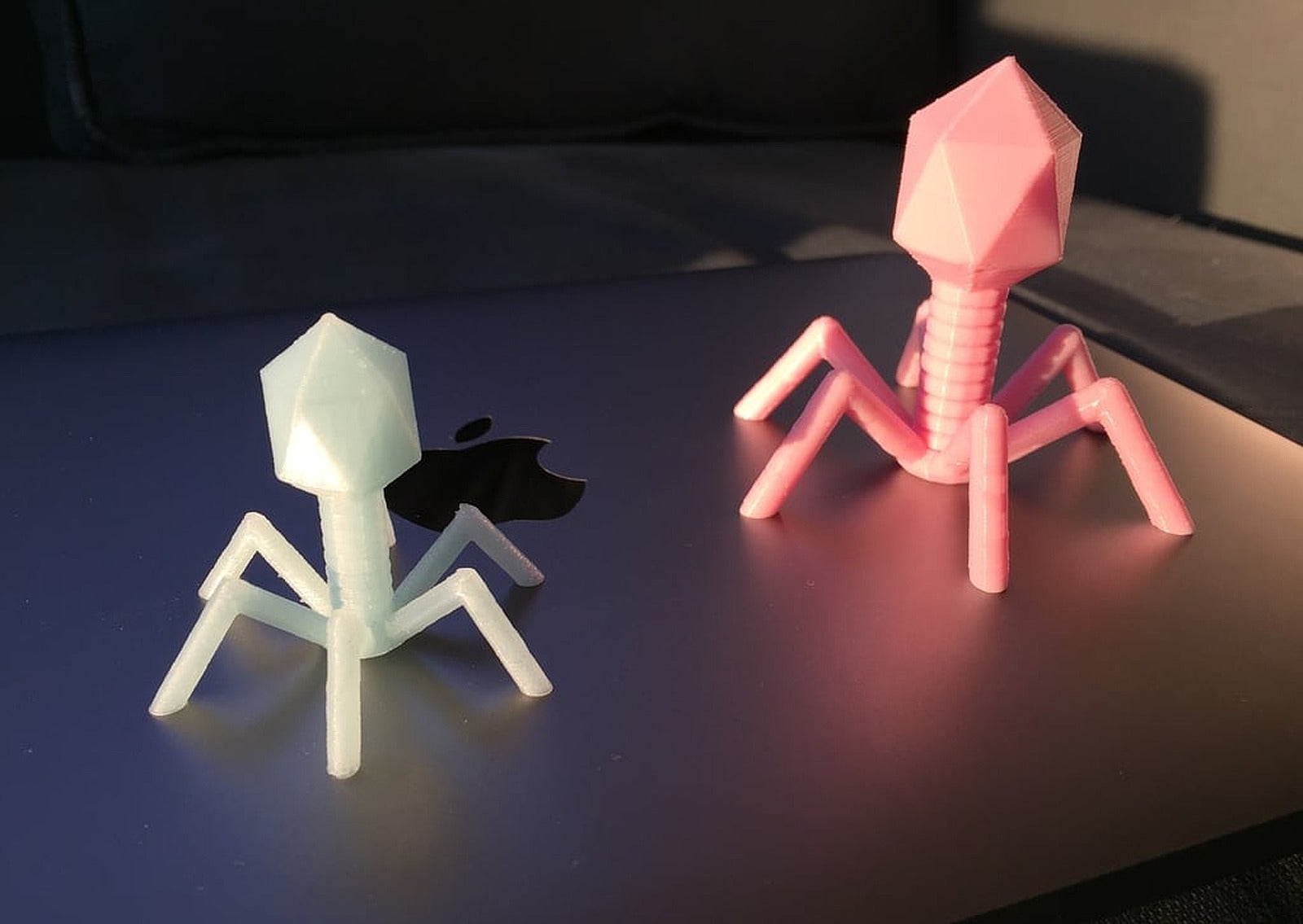 Bacteriophage T4 – 3D Baskı Modeli