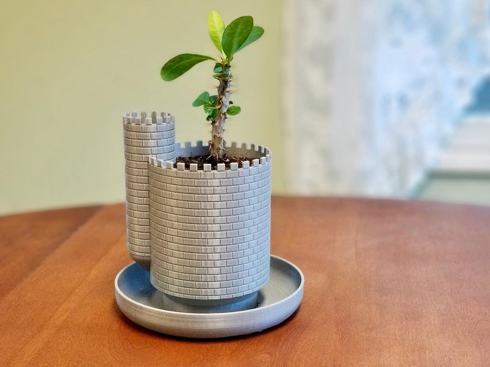Planttlement - Castle saksı with Moat, for Succulents – 3D Baskı Modeli