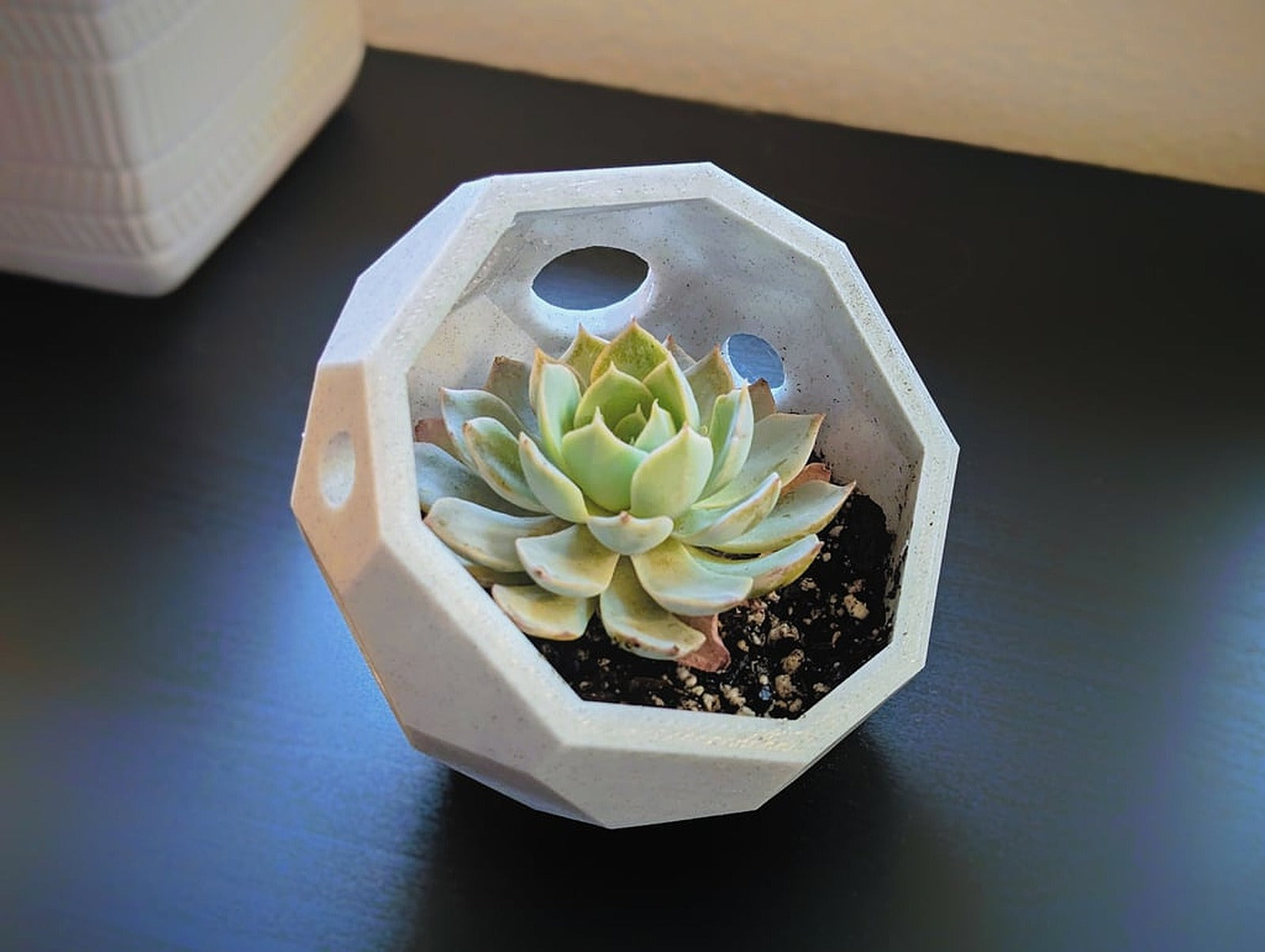 Modern Geometric saksı (No Supports Icosahedron Succulent saksı) – 3D Baskı Modeli