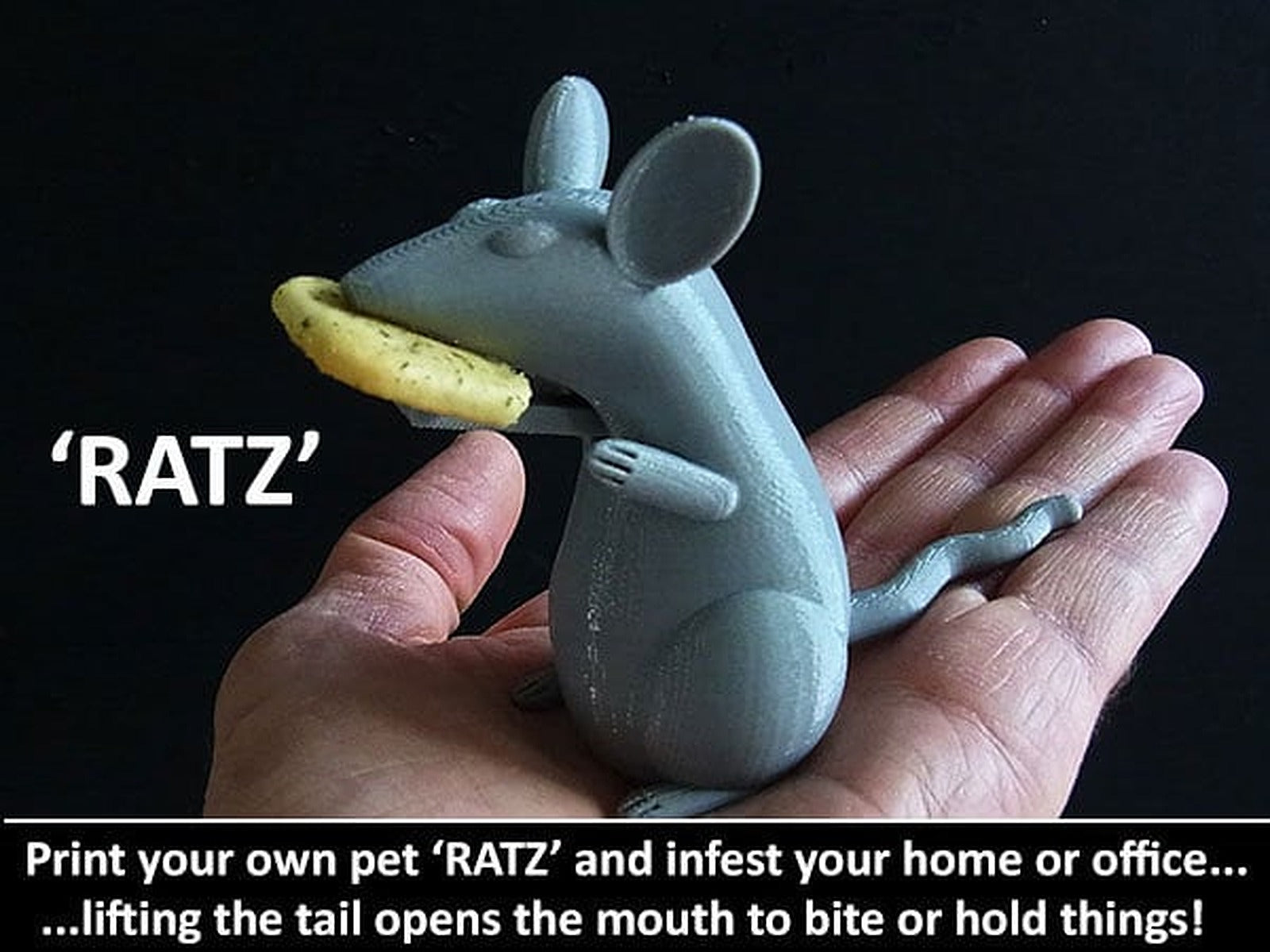 RATZ – 3D Baskı Modeli