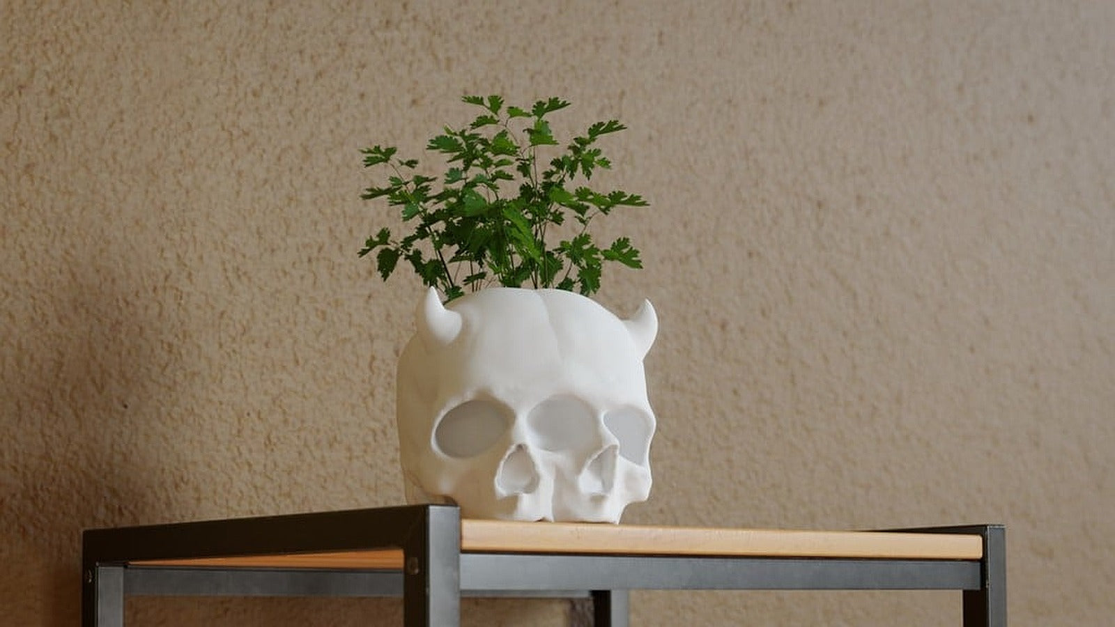 Triclops Baby Skull saksı – 3D Baskı Modeli
