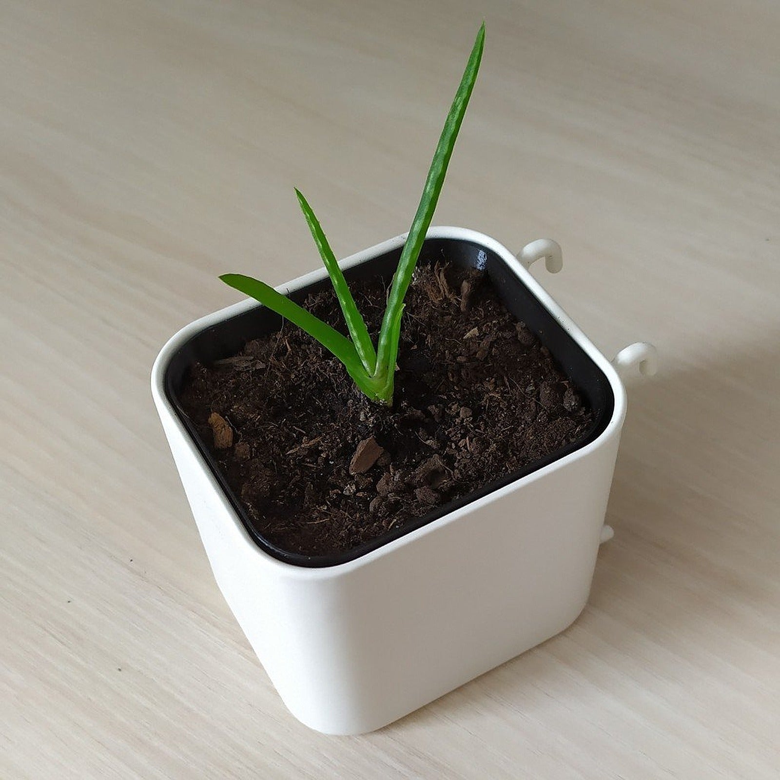 Ikea Skadis saksı saksı – 3D Baskı Modeli