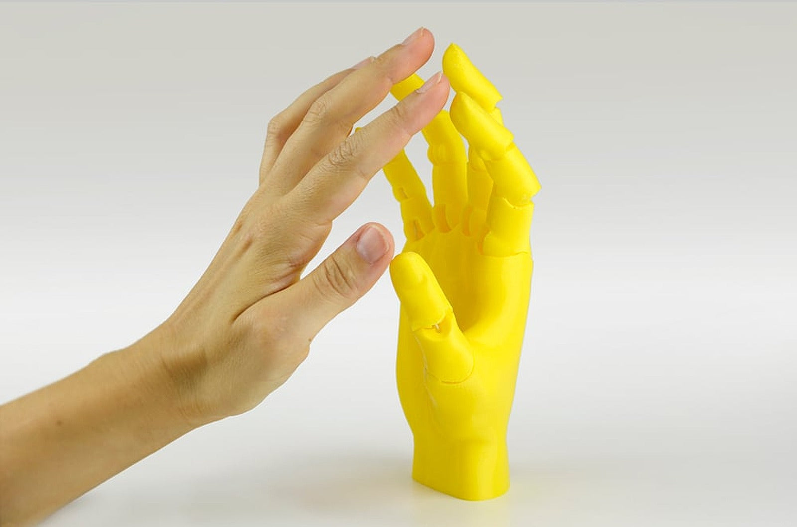 Jointed Hand – 3D Baskı Modeli