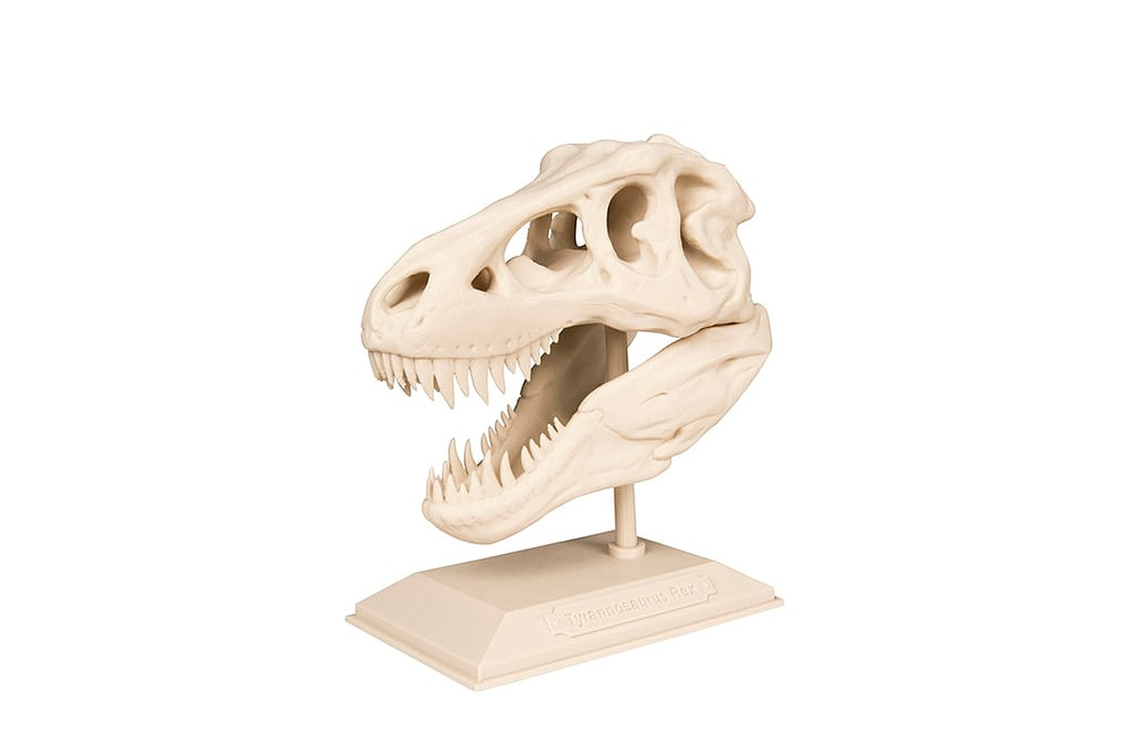 The T-Rex Skull – 3D Baskı Modeli