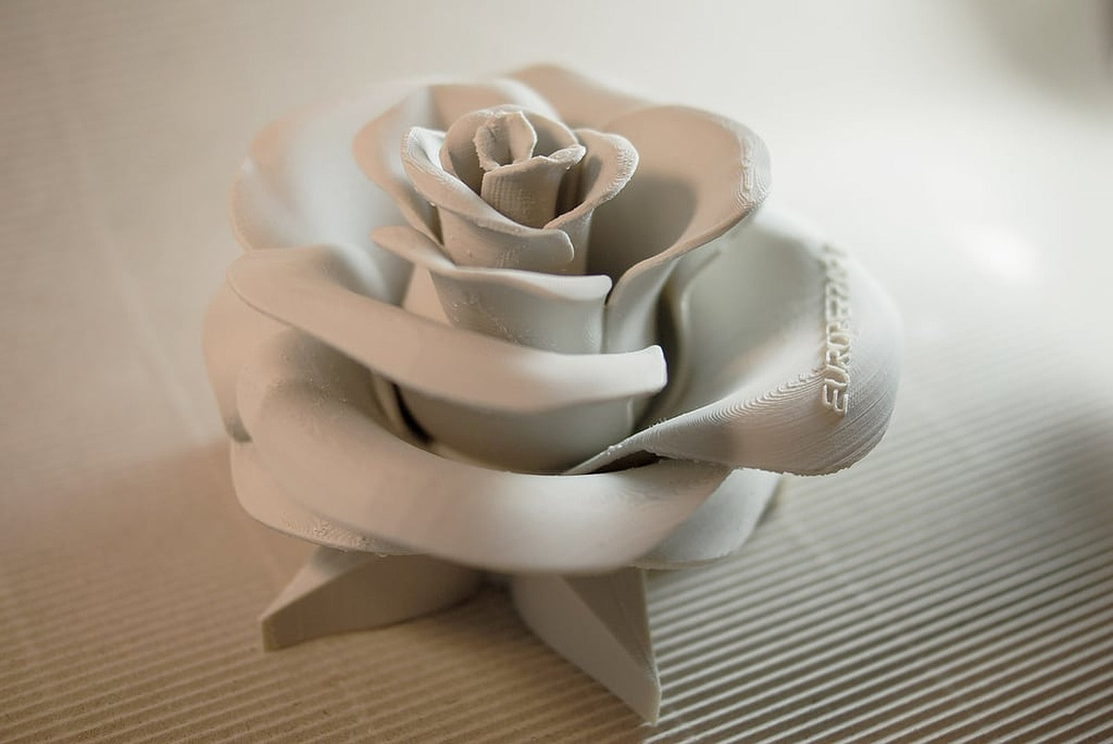 Rose - real flower – 3D Baskı Modeli
