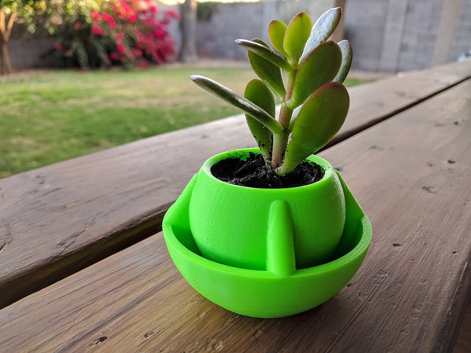 Globe Desk saksı Flower saksı – 3D Baskı Modeli