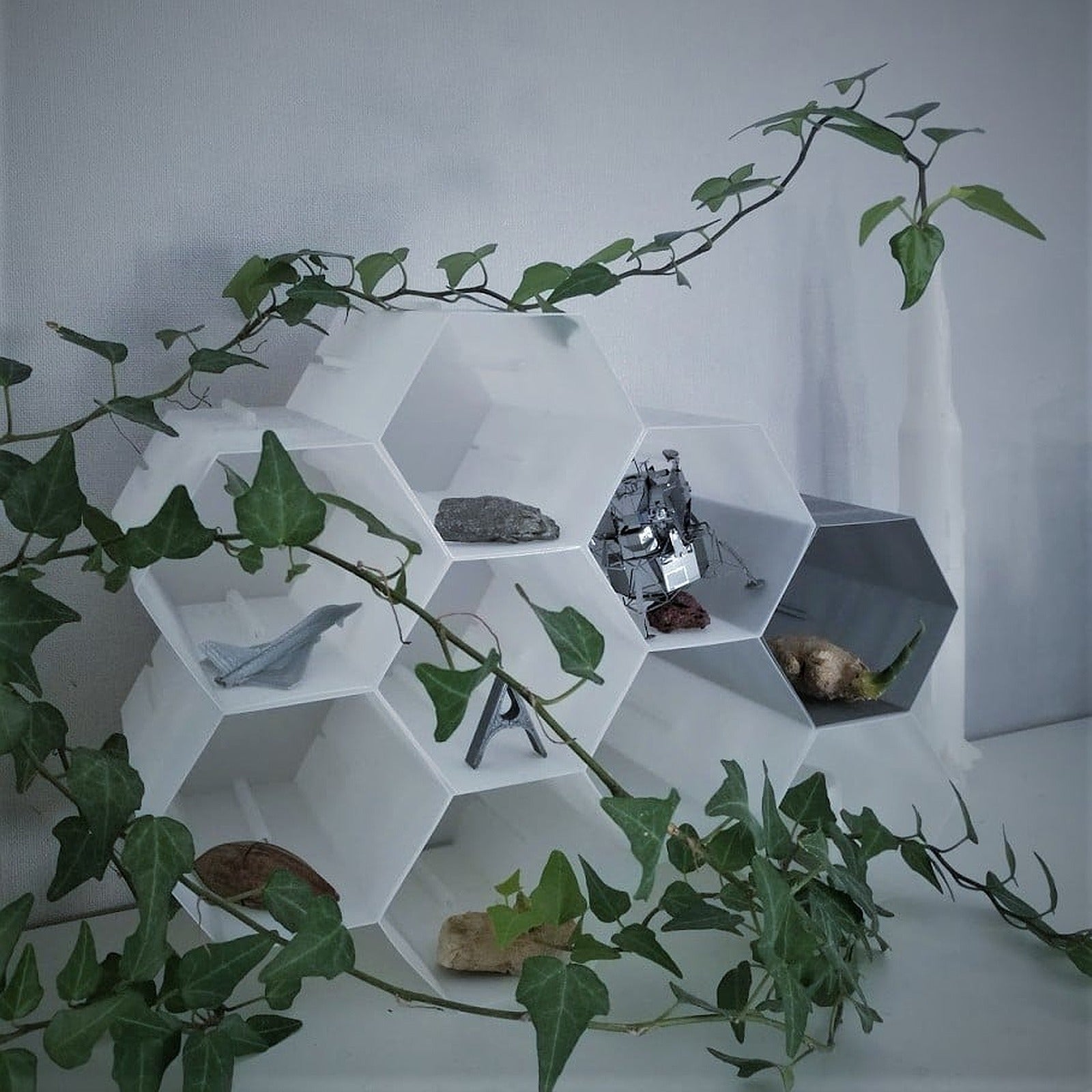 Modular Honeycomb kutu/düzenleyici – 3D Baskı Modeli