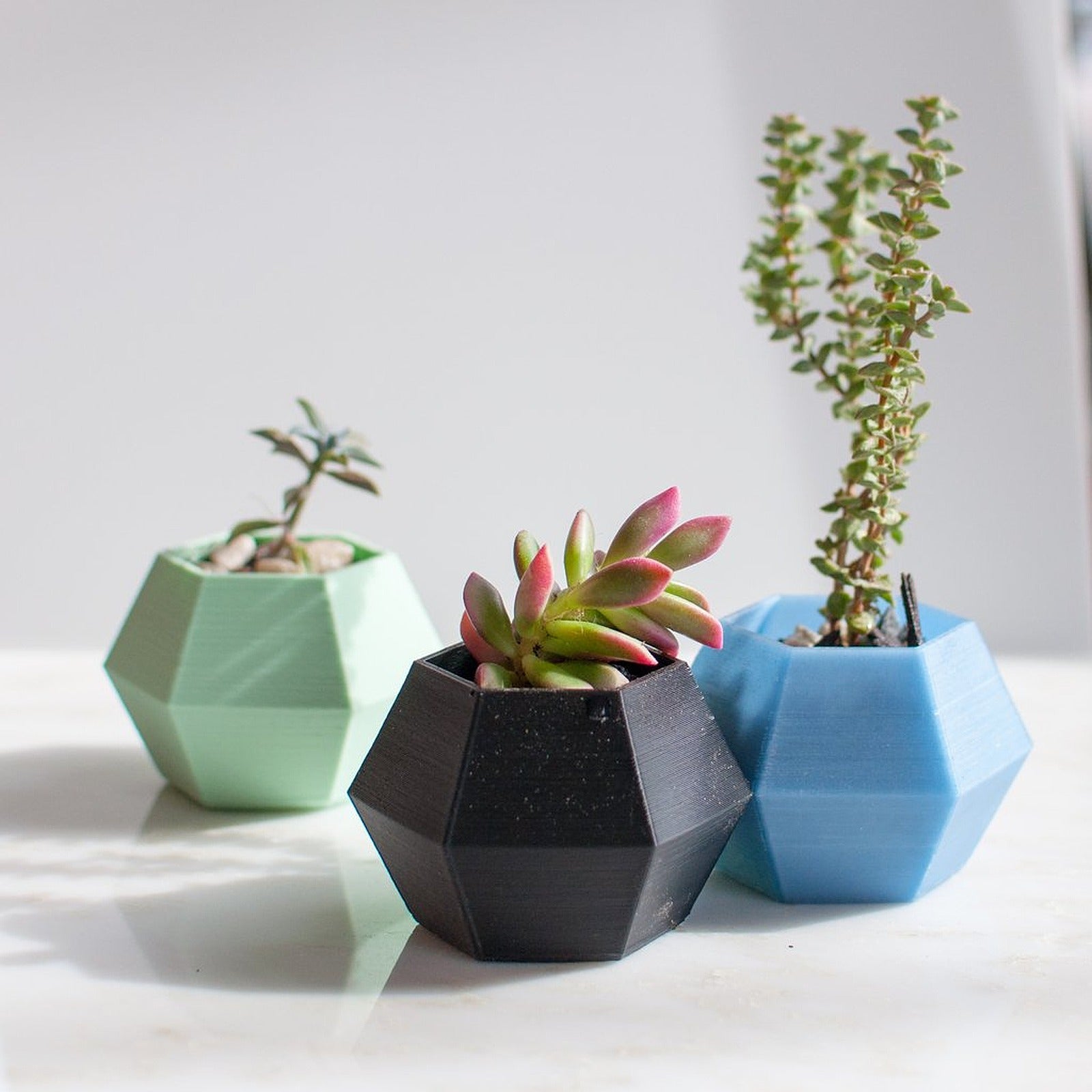 Hexagon Succulent saksı – 3D Baskı Modeli