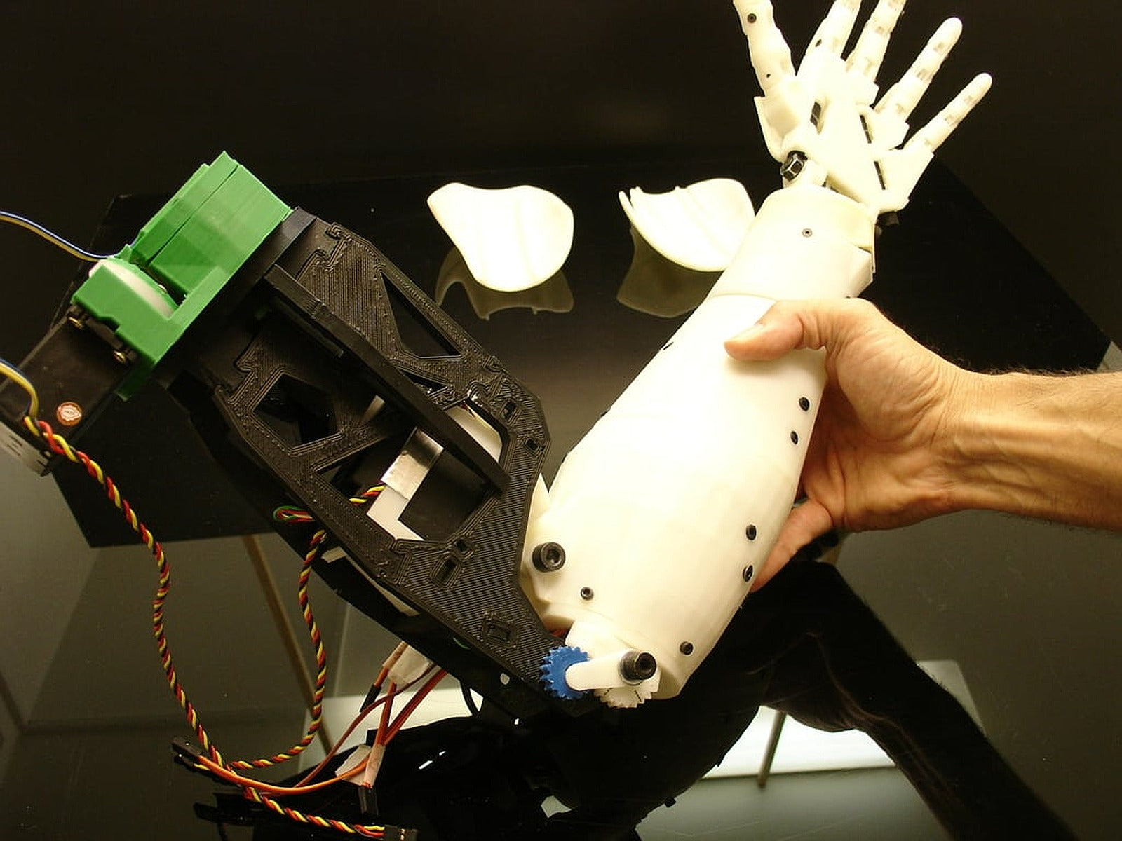 Bicep for Robot InMoov – 3D Baskı Modeli