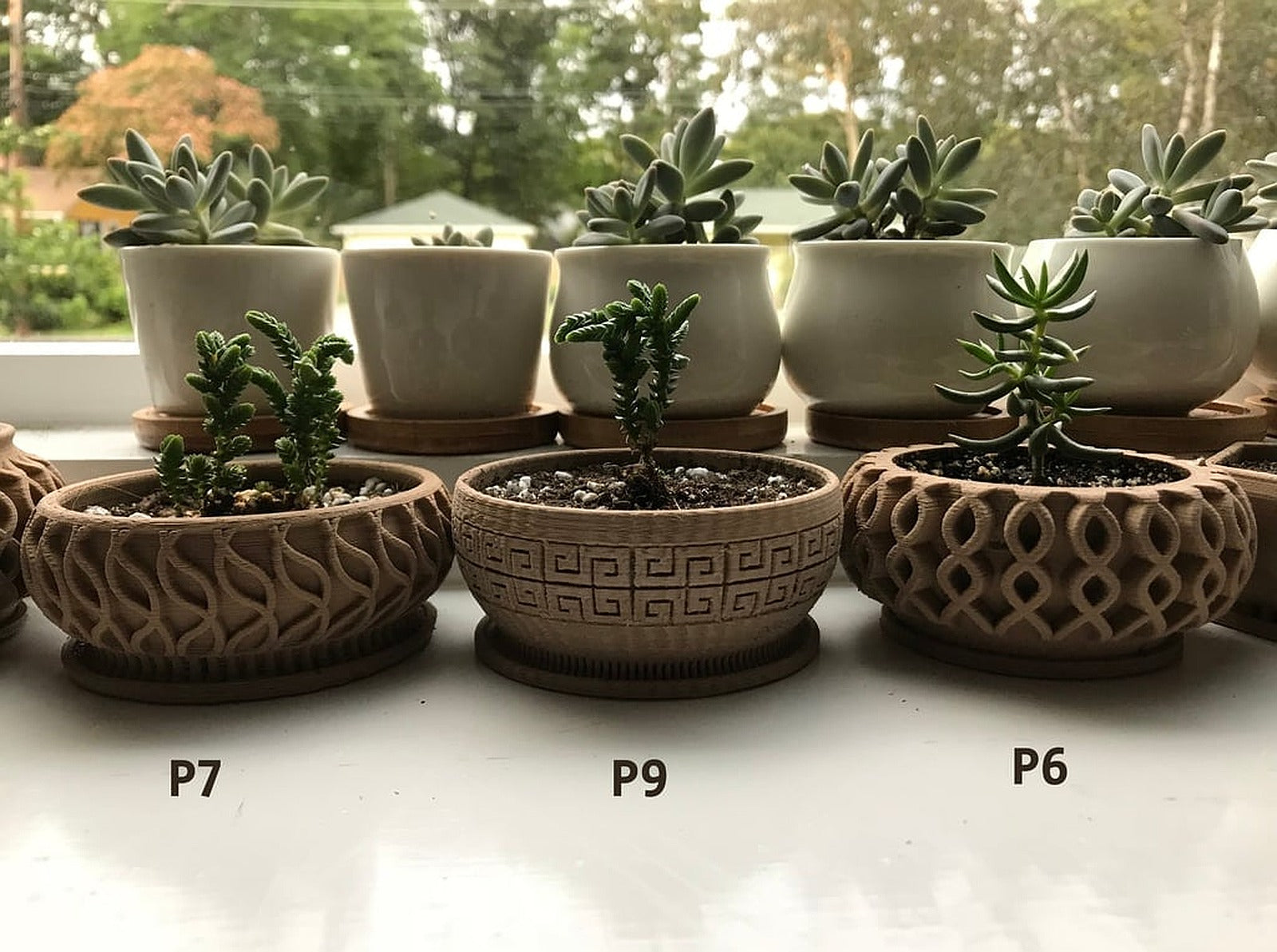 Succulent saksı 7 – 3D Baskı Modeli