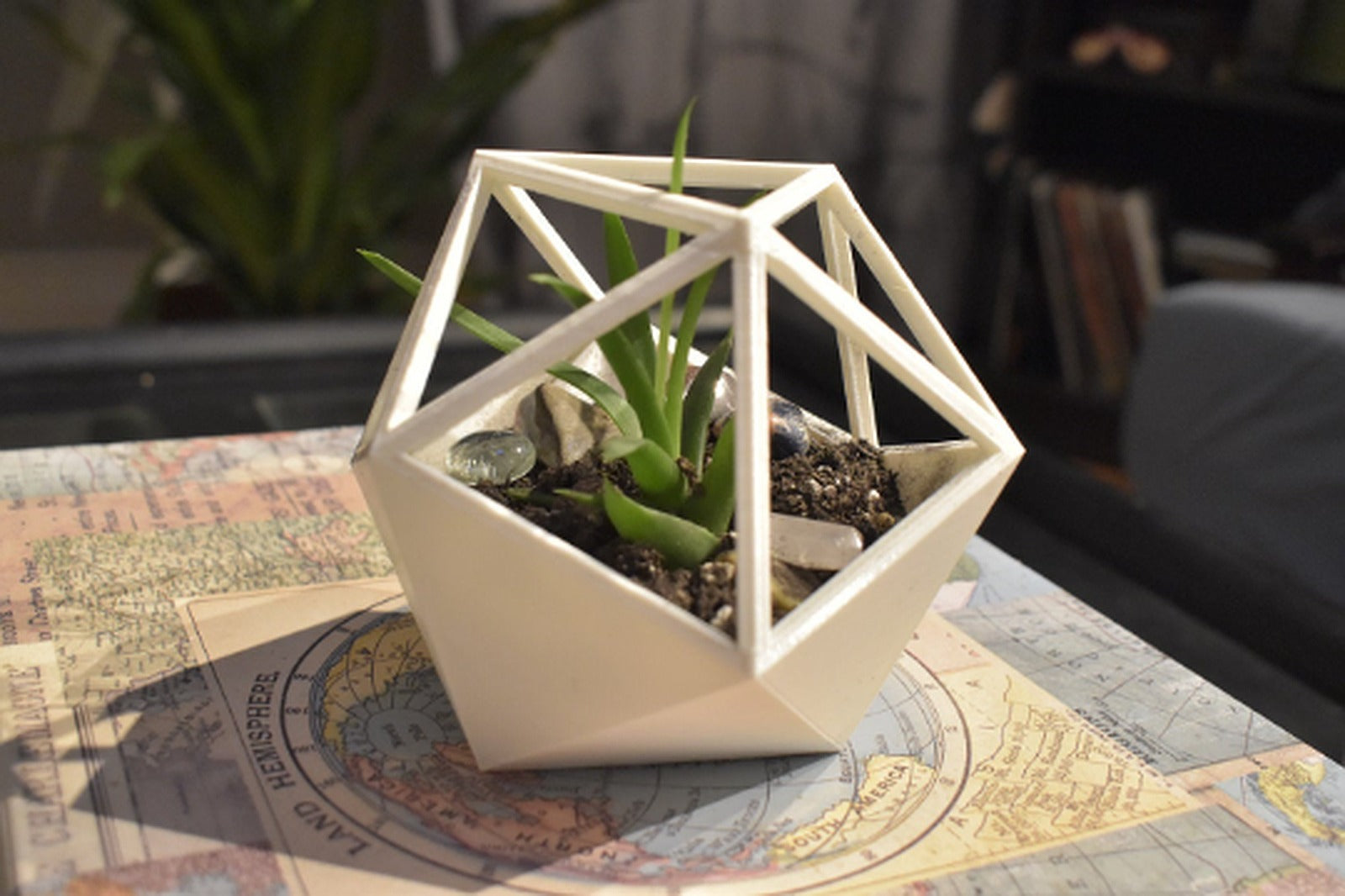 D20 Succulent saksı – 3D Baskı Modeli