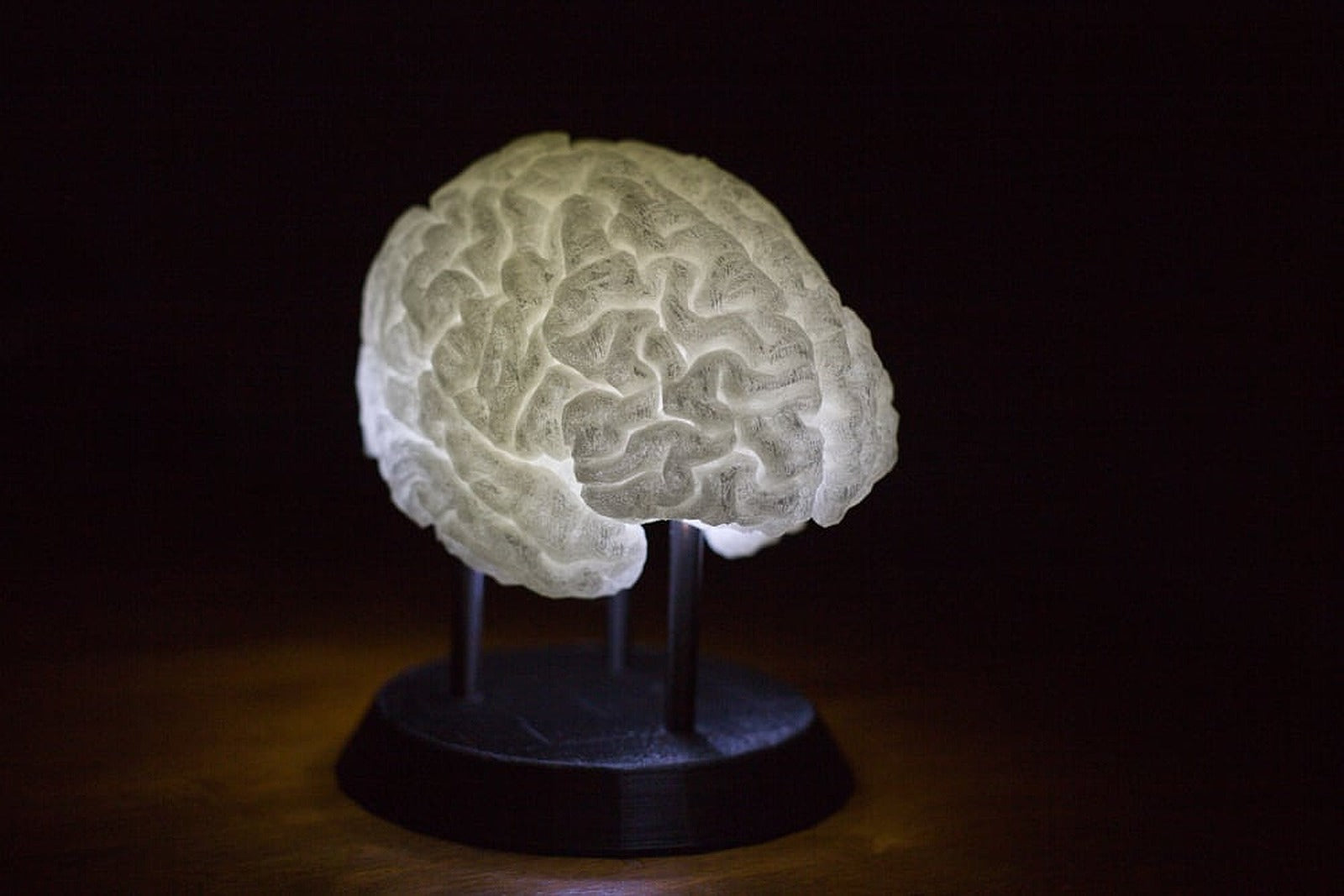 LED-Lit Brain – 3D Baskı Modeli
