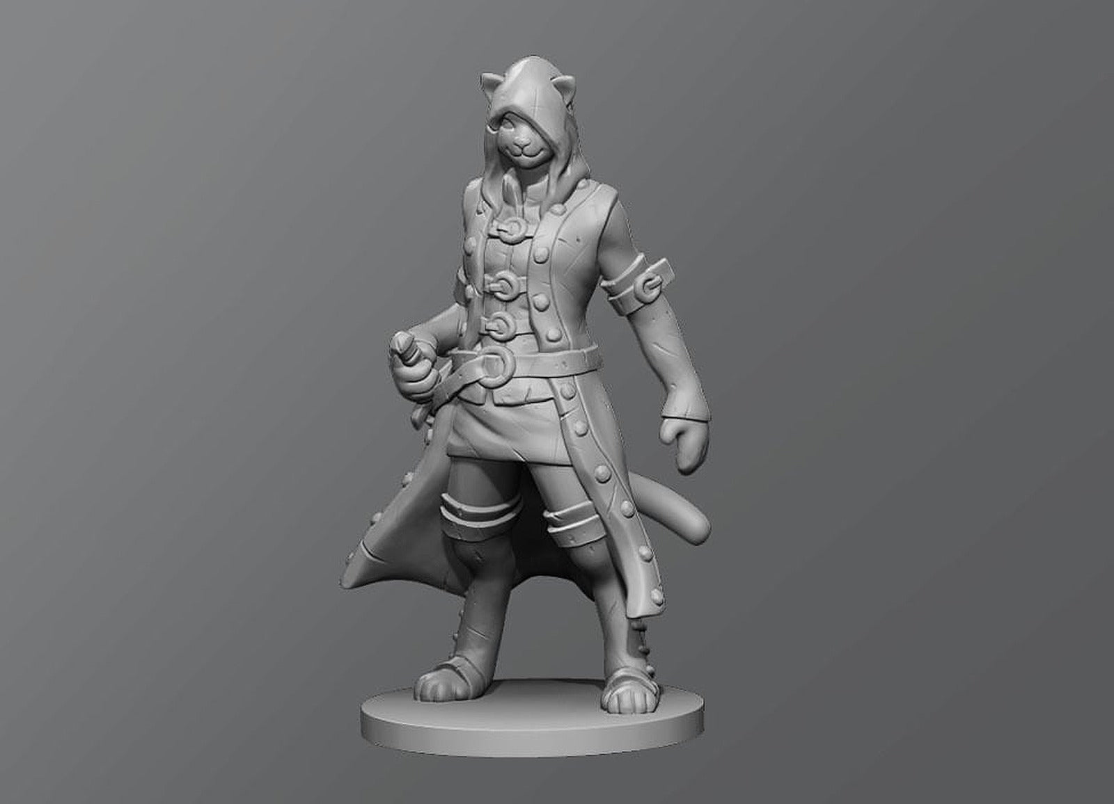 Cat Rogue – 3D Baskı Modeli