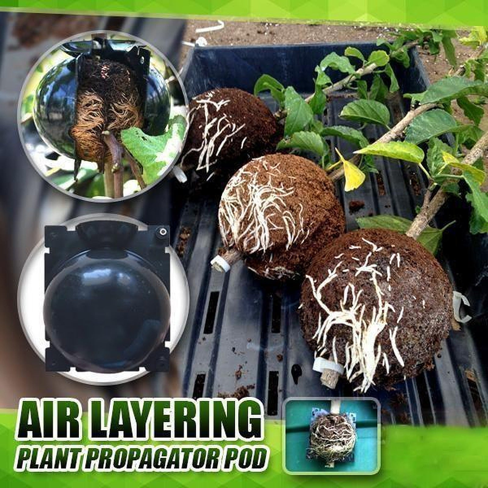 Reusable Plant Root Growing – 3D Baskı Modeli