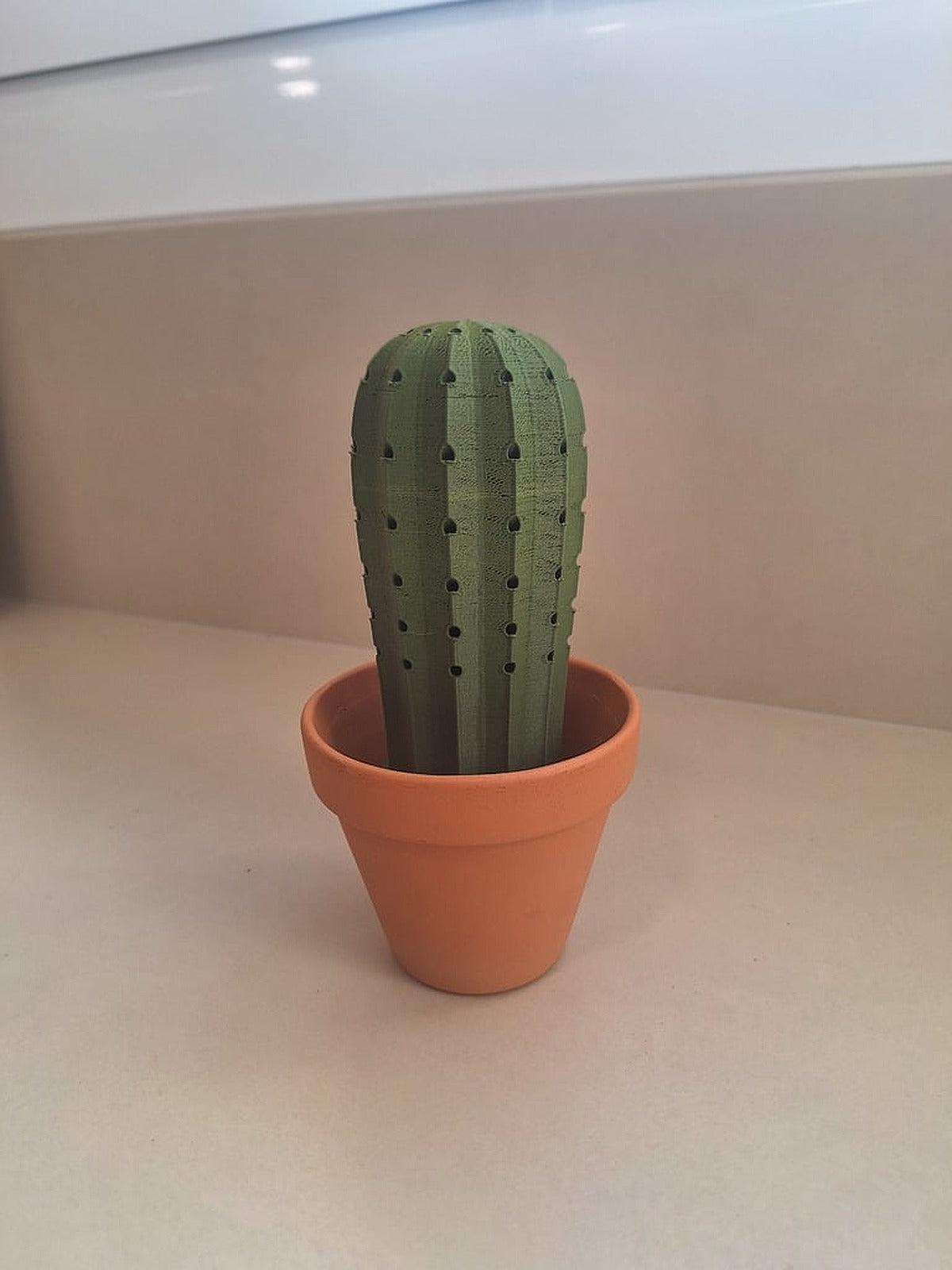 Cactus Toothpick stand – 3D Baskı Modeli