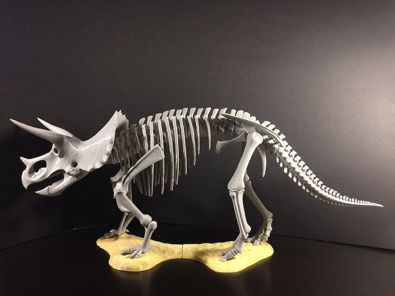 Triceratops prorsus Skeleton – 3D Baskı Modeli