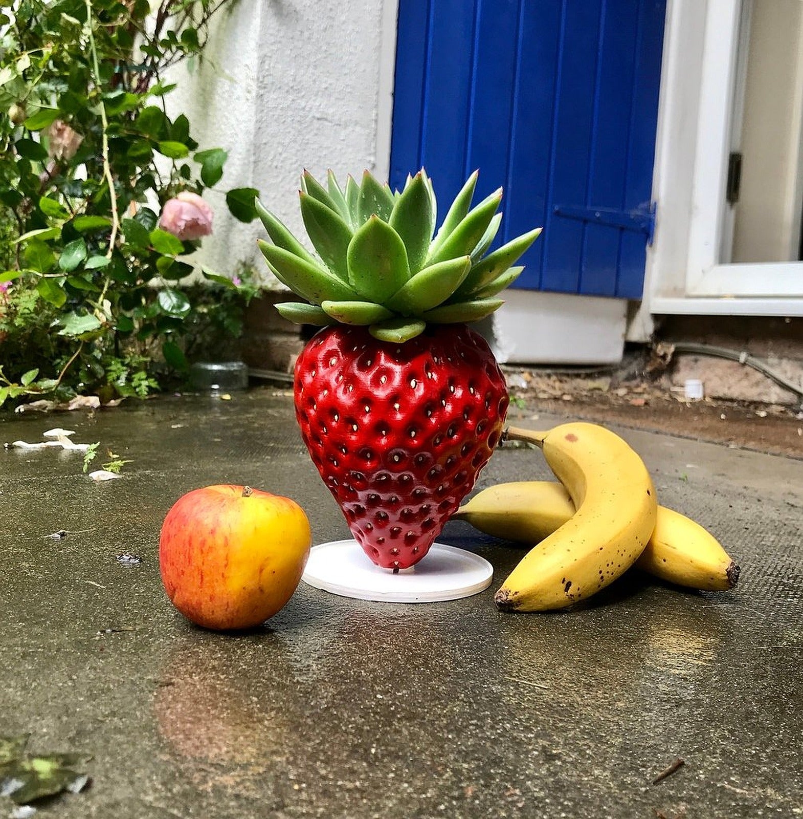 Realistic strawberry saksı plant saksı – 3D Baskı Modeli